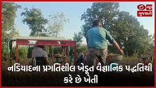 નડિયાદના પ્રગતિશીલ ખેડૂત વૈજ્ઞાનિક પદ્ધતિથી કરે છે ખેતી