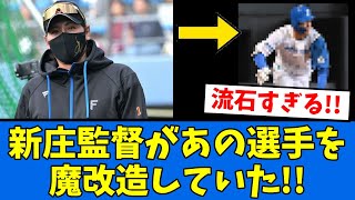 【覚醒】新庄監督が”あの選手”を魔改造していた!!!!!　【プロ野球反応集】【2chスレ】【5chスレ】