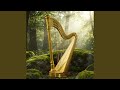 Harp Dawn