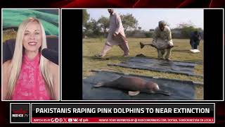 Sick mindset of Pakistani men | Raping Pink Dolphins | Pakistan Culture | Islamic Mindset