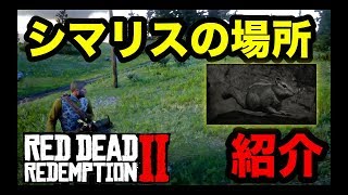 【攻略】レッドデッドリデンプション2  シマリスの最良の死骸の場所を紹介！【狩猟の依頼】