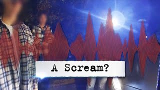 Did Bodycam Catch Scream on Night Idaho Students Were Slain?