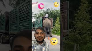 INDIA KA JUGAD | elephant |  jugad | #ytshorts #shorts #viral #trending  #youtubevideo #shortsfeed