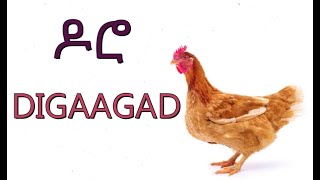 KU BARO XABASHI MAGACYADA XAYAWAANKA (ANIMAL NAMES IN AMHARIC)