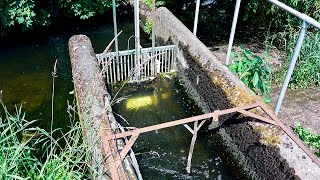 Islandbridge fish pass and counter, July 2016