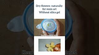 Let's dry flowers without silica gel | dry resin flowers.#resinflowers #resinartist