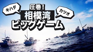 相模湾キハダマグロ・カツオ ビッグゲーム！コマセマグロ釣り【水中動画必見】Tuna fishing Game!