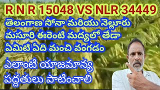 RNR 15048 vs NLR 34449 వీటిలో ఏదిమంచిది high yelding seed quality@Eruvaaka