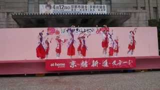 輝粋 京都さくらよさこい2015　京都市役所前