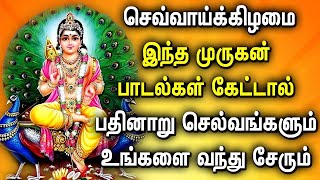 TUESDAY POWERFUL MURUGAN TAMIL DEVOTIONAL SONGS | Lord Murugan Bhakti Padalgal | Murugan Tamil Songs