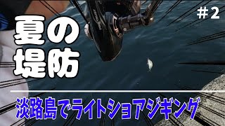 淡路島でライトショアジギング　青物狙いでまさかの高級魚が！！【ライトショアジギング】＃2