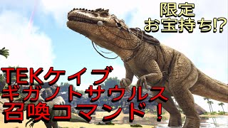 PS4 ARK TEK洞窟で限定お宝持ち！？TEKケイブ・ギガノトサウルス召喚コマンド！で申し訳ございません！