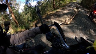 Mt Kilcoy and Conondale National Park