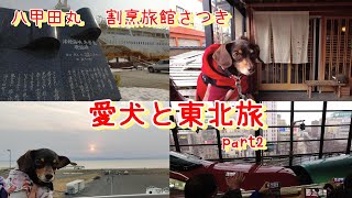 愛犬と東北旅　Part２　青森県の八甲田丸周辺観光＆宿泊は浅虫温泉　割烹旅館さつき　雨の盛岡少しだけお散歩