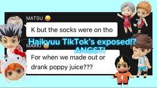 HAIKYUU TIKTOKS EXPOSED?! || ANGST || SHIPS || TEXT