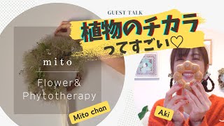 ゲストトーク！フィトセラピー＆ハーブ療法🌿mitoちゃん