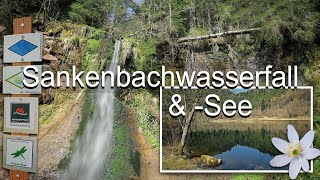 Schankenbachwasserfall \u0026 -See bei Baiersbronn