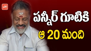 మరో 20 ఎమ్మెల్యేలు పన్నీర్ గూటికి | More 20 MLAs to Join Panneerselvam | YOYO TV Channel