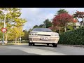 driving a citroen bx on an autumn afternoon