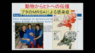 動物用抗菌剤研究会・四学会合同事業セミナー「One Healthから見た耐性菌の現状と課題」：特別発言