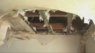 SPECIAL REPORT: Rental Nightmares