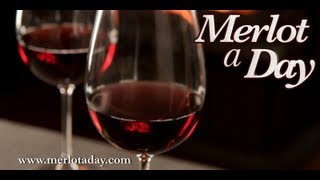 Merlot a Day - First Cape Limited Release Merlot 2011