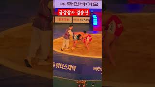 금강장사 결승전 / 최정만vs권진욱 #할리족구 #할리버지tv #태안군