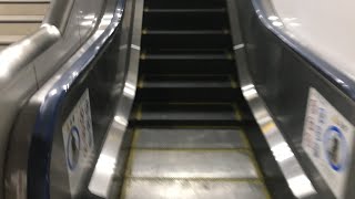 【エスカレーター】渋谷駅のエスカレーター！湘南新宿ライン、埼京線〜山手線乗り換え！