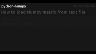 How to load Numpy matrix from text file