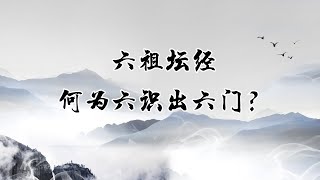 《六祖坛经》何为六识出六门