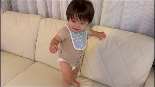 １歳がソファの上で暴れてるだけの動画