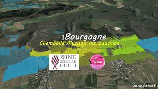 Wine Scholar Guild Bourgogne Master-Level | Chambolle Musigny: An Introduction | Burgundy Wine Study