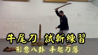 牛尾刀 試斬練習 Cutting test with Oxtail Saber│【中日兵器試斬】形意拳八卦掌│健棋道館