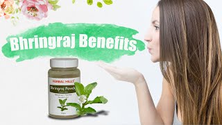 Bhringraj Benefits for Hair Care | Herbal Hills Prime