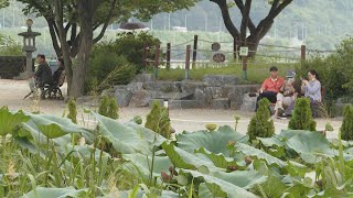 막바지 휴가철…방역수칙 지키며 휴일 근교 나들이 / 연합뉴스TV (YonhapnewsTV)