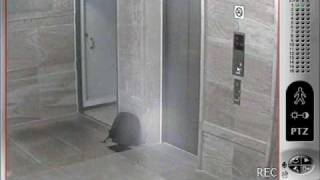 Missing Left Object Detection 1