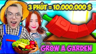 PHONG CẬN VÀ SAMMY CÁCH KIẾM 1O TRIỆU ĐÔ SIÊU DỄ TRONG ROBLOX GROW A GARDEN