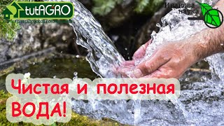 Чистим воду БЕЗ ФИЛЬТРОВ. Вода вкусная, полезная, без нитратов и с лечебными свойствами!