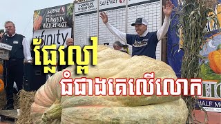 ផ្លែល្ពៅធំជាងគេលើកលោក The largest pumpkin in the world