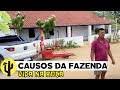 [VIDA NA ROÇA] Edglei Souto e Zezim: Causos acontecidos naquela Fazenda Morada Nova na Infâncias 🌵