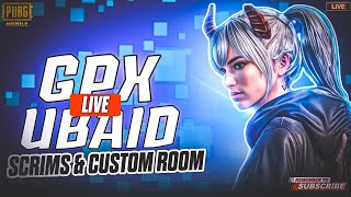 PUBG MOBILE live custom and wow rooms road to 100 subscriber |GPXubaid is livE