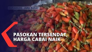 Jelang Bulan Ramadhan, Harga Berbagai Jenis Cabai Alami Kenaikan Hingga Rp15 Ribu per Kilogram!