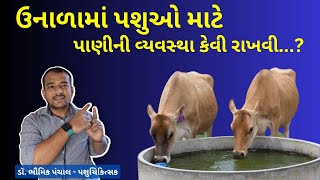 પશુને પાણી કેટલું આપવું ?  પશુઓને ઉનાળામાં પાણીની જરૂરત | Water management in Summer Season