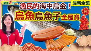 健康好生活  20230117  漁民的海中烏金！「烏魚」「烏魚子」全是寶！