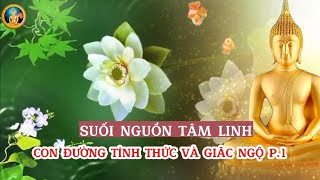 SUỐI NGUỒN TÂM LINH P.1_CON ĐƯỜNG TỈNH THỨC_THIỀN SƯ AJAHN CHAH