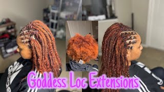 Copper Goddess Loc Ex (L’Oréal HiColor)