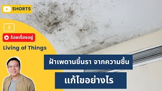 ฝ้าเพดานขึ้นรา จากความชื้น น้ำรั่วซึม แก้ไขอย่างไร