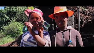 Virtual trip through Madagascar Part 1 - Geranium Bourbon essential oil