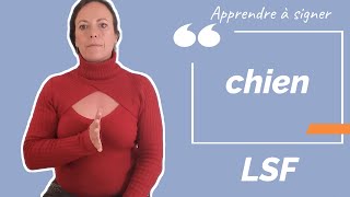 Signer CHIEN en LSF (langue des signes française). Apprendre la LSF par configuration