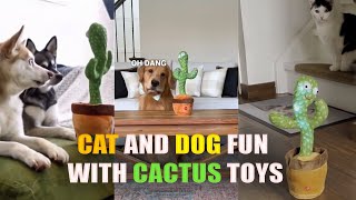 Funniest Cats and Dogs Videos 😂 Cat and Dog Fun With Cactus Toys